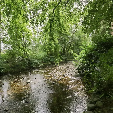 Daire Dorothy Ambleside